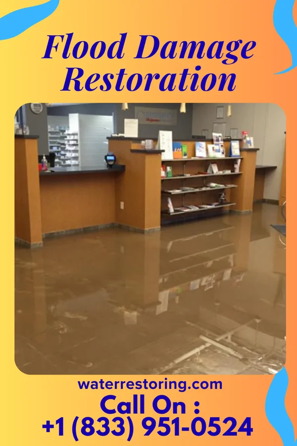 Flood Damage Restoration in South La Paloma, TX