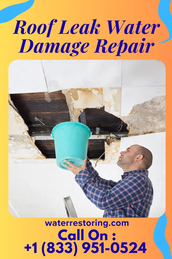 Roof Leak Water Damage Repair in South La Paloma, TX