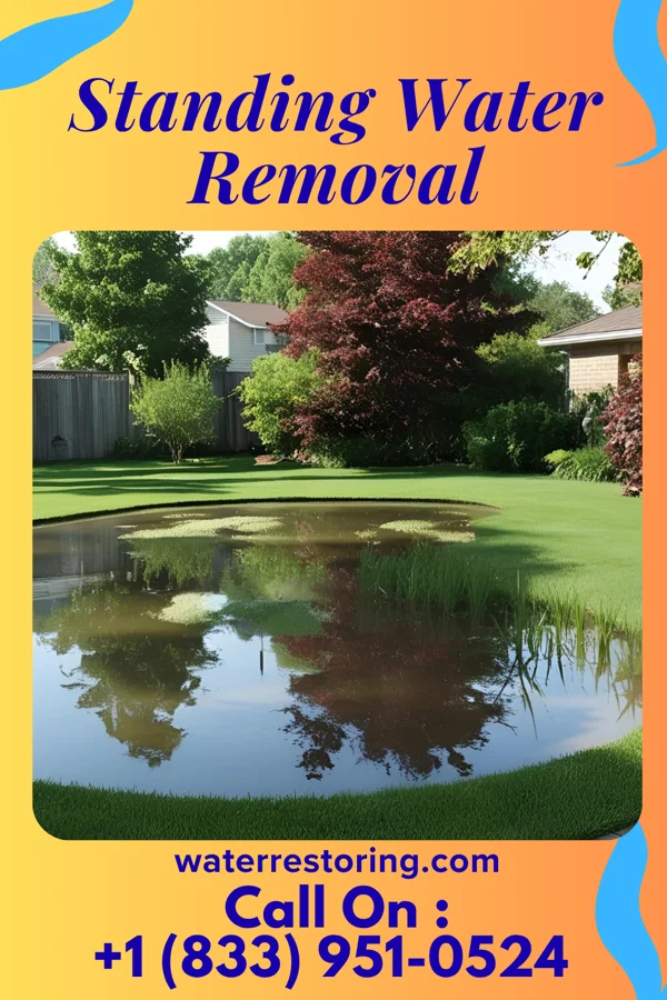 Standing Water Removal in South La Paloma, TX